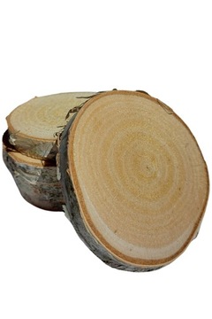Plaster drewna brzoza suche krążki 10-12cm, grubość 1cm 10szt