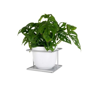 Подставка для цветов Flora, подвесная, металл, черный