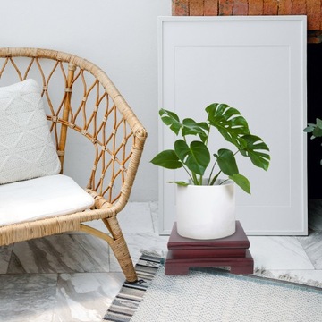 ДЕРЕВЯННАЯ ОСНОВА ДЕРЕВЯННАЯ ПОДДЕРЖКА ЗАВОДОВ