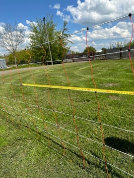 Siatka elektry dla owiec, 50m, 90 cm, poj. szpic