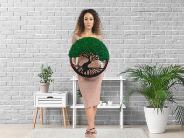 Moss of Chrobotek Finnish 500G Gross Gross Green Decorative Decorative Curatified