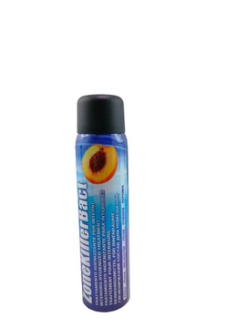 AEROZOL ODSWIEŻAJĄCY INTERIOR PURIFIER O ZAPACHU BRZOSKWINIOWYM, 100 ML