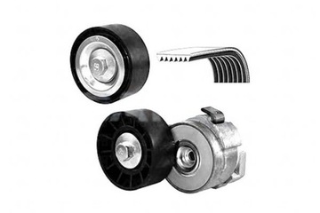 КОМПЛЕКТ ПОЛОЛИНИЧНОГО РЕМНЯ (С РОЛИКАМИ) FIAT DUCATO