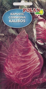 Kapusta CZERWONA KALIBOS 1g nasiona !