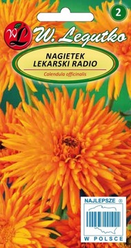 Nagietek Lekarski Radio Nasiona 2g Legutko