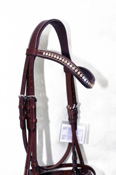 Профилированная анатомическая команда полна