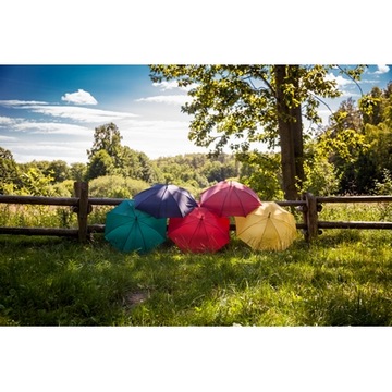 Parasol automatyczny | Dwight