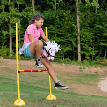 Лошадь на палке Hobby Horse Skippi А5 Розовый с поводком и поводьями