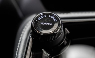 Lexus NX II SUV Facelifting 2.5 350h 243KM 2024 Lexus NX 350h Prestige AWD Desing Tazuna 2.5 Benzyna 242KM, zdjęcie 33