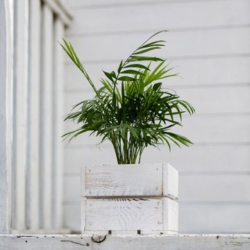 Белая цветочная коробка, деревянный цветочный горшок с крышкой из вереска.