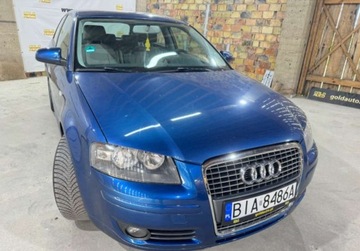 Audi A3 8P Hatchback 3d 1.6 102KM 2007 Audi A3 1.6 Mpi 102KM Piekna Sprawdz, zdjęcie 12