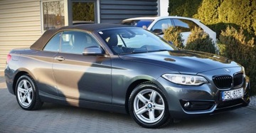 BMW Seria 2 F22-F23-F45-F46 Cabrio 220d 190KM 2015 BMW Seria 2 (nR. ) 2.0 d 190 KM Autoamt Navi Kamera Klima Tempomat Gwara, zdjęcie 16