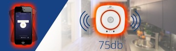 Беспроводной детектор угарного газа WiFi Tuya