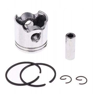 Поршневые кольца 35 мм. Уличные растения