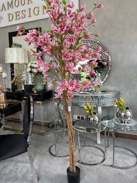 Drzewo magnolia w donicy 180 cm różowe