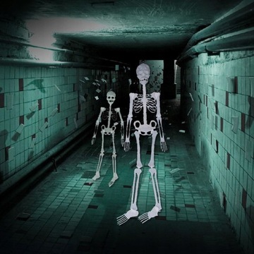 СКЕЛЕТ ЧЕЛОВЕКА 90см СКЕЛЕТ ДЛЯ ХЭЛЛОУИНА LED