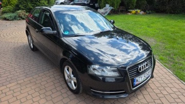 Audi A3 8P Hatchback 3d 1.6 TDI 90KM 2011 AUDI A3 1.6 TDI AMBITION 2011 KLIMATRONIK ALU SUPER STAN! FAKTURA MARŻA!, zdjęcie 10