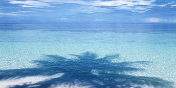 J.Fenzi Victorius Aqua Homme EDP 100 мл ДУХИ