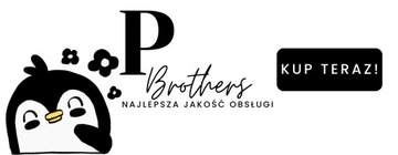 WYSOKIEJ JAKOŚĆI POKOROWIEC NA PODUSZKI PRZECHOWYWANIE POŚCIELI