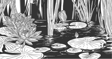 Щетка Hakuro K117 для минерального фундамента / розового