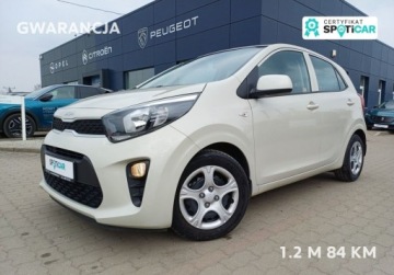 Kia Picanto III Hatchback 5d Facelifting 1.2 DPI 84KM 2023 Kia Picanto 66 1.2 M 84 KM I wl. GWARANCJA 1.2 Benzyna 84KM