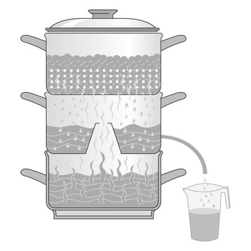 SOKOWNIK PAROWAR 2 w 1 NA INDUKCJĘ GAZ CERAMIKĘ 5L