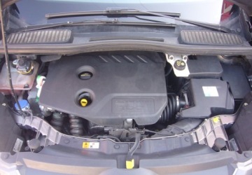 Ford C-MAX II Minivan 1.6 TDCi 115KM 2013 Ford Grand C-MAX Ford Salon PL 1.6 Diesel 115KM, zdjęcie 20