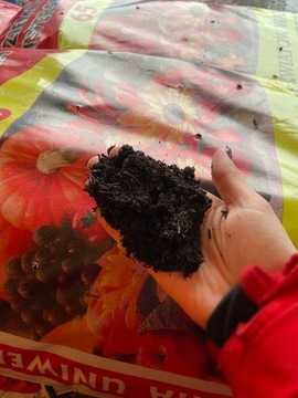 УНИВЕРСАЛЬНАЯ САДОВАЯ ПОЧВА 65л КОМПОСТНОЕ УДОБРЕНИЕ