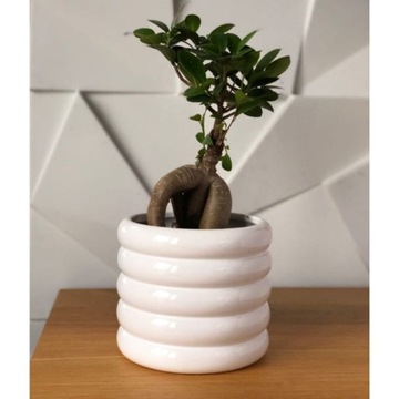 Крышка для цветочного горшка в форме цилиндра белая 15 см Polnix