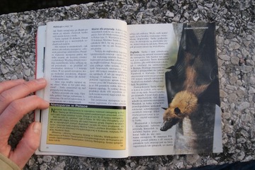 Ридерс Дайджест № 7/97