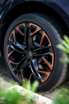 Cupra Terramar SUV 2.0 TSI 265KM 2026 Cupra Terramar VZ 2.0 TSI 265 KM DSG 4Drive, zdjęcie 5