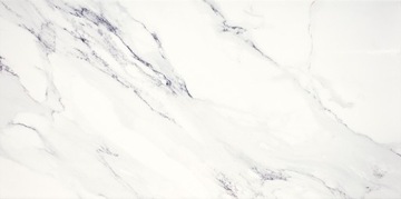 Ferro white 29,8x59,8 Domino - glazura