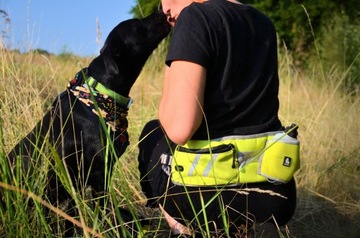 Беговой ремень для собак TrekGo Truelove + бутылка с водой