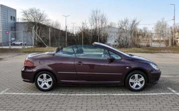 Peugeot 307 I 2004 Peugeot 307 2,0 (138KM) Bezwypadkowy 2.0 Benzyna 138KM, zdjęcie 4