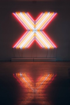 NEON LED настенный декор креветка 55х55 оргстекло