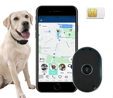 CALMEAN PetTracker Mini + obroża L/XL GPS dla Psa