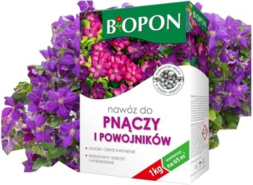 NAWÓZ WIELOSKŁADNIKOWY DO PNĄCZY I POWOJNIKÓW GRANULOWANY BIOPON 1kg