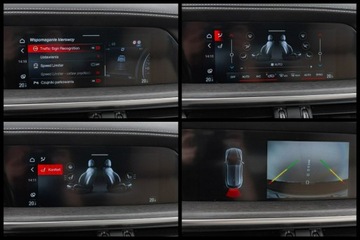 Alfa Romeo Stelvio SUV Facelifting 2.0 Turbo 280KM 2021 Alfa Romeo Stelvio WD1861S#2.0 Turbo 6C Villa, zdjęcie 21