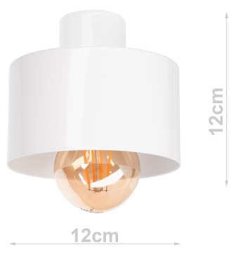 НАСТЕННЫЙ СВЕТИЛЬНИК LOFT BUTTERFLY SNAIL LAMP может быть светодиодным