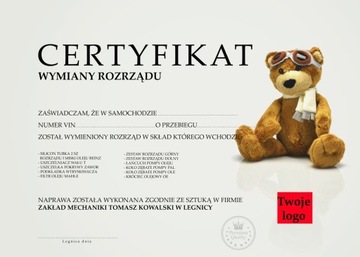 Certyfikat Dyplom - auto rozrząd