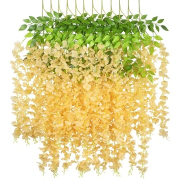 XXL 12x wisteria glicynia girlanda pnącze