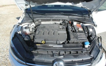 Volkswagen Golf VII Hatchback 3d Facelifting 1.6 TDI-CR DPF BMT 115KM 2017 Volkswagen Golf 1.6 Diesel 116KM, zdjęcie 12