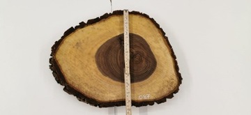 Срез грецкого ореха после высыхания 38х30см Столешница