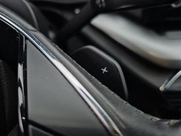 Skoda Octavia 2021 Skoda Octavia IV 2.0 TDI 150 KM SCR Ambition DSG S, zdjęcie 23