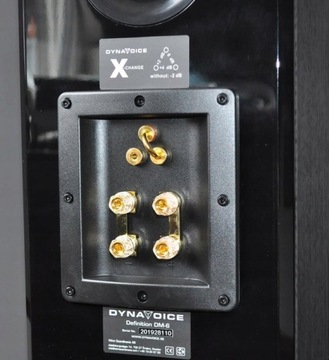 DYNAVOICE DM-6 + MICROMEGA MyAmp АМБИТИЦИОННОЕ СТЕРЕО