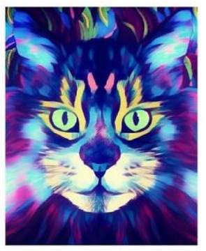 БОЛЬШАЯ КАРТИНА ПО ЦИФРАМ 50 КОШКА КОТЕНОК + РАМА