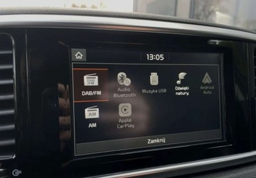 Kia Sportage IV SUV Facelifting 1.6 T-GDI 177KM 2019 Kia Sportage 1.6T-GDI 177km MANUAL LED navi KAMERA bezwypadkowa, zdjęcie 25