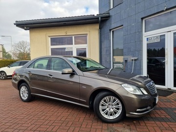 Mercedes Klasa E W212 Limuzyna 250 CGI BlueEFFICIENCY 204KM 2010 Mercedes E 250 CGI Elegance Automat Navi Skóry, zdjęcie 10