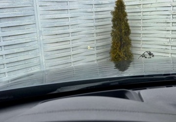 BMW Seria 4 F32-33-36 Coupe Facelifting 430i 252KM 2018 BMW Seria 4 BMW Seria 4 430i xDrive M Sport 2.0 Benzyna 252KM, zdjęcie 16