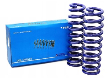 WZMOCNIONE SPRĘŻYNY TYLNE LIFT +2 CALE TOYOTA RAV4 II (2000-2005) DKRS